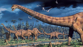 How did gigantic dinosaurs like <em>Brachiosaurus</em> get it on?